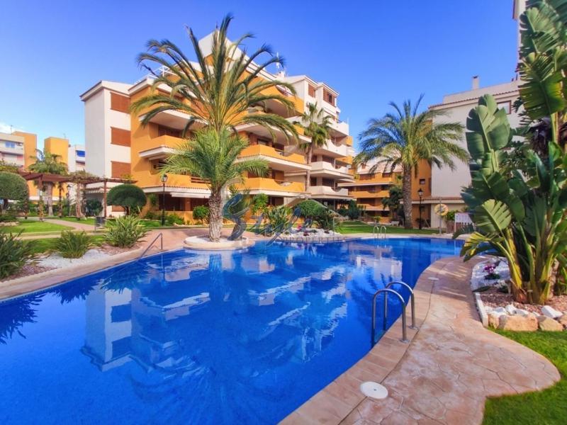 Punta Prima Nice Apartment With Sea Views Torrevieja Eksteriør billede