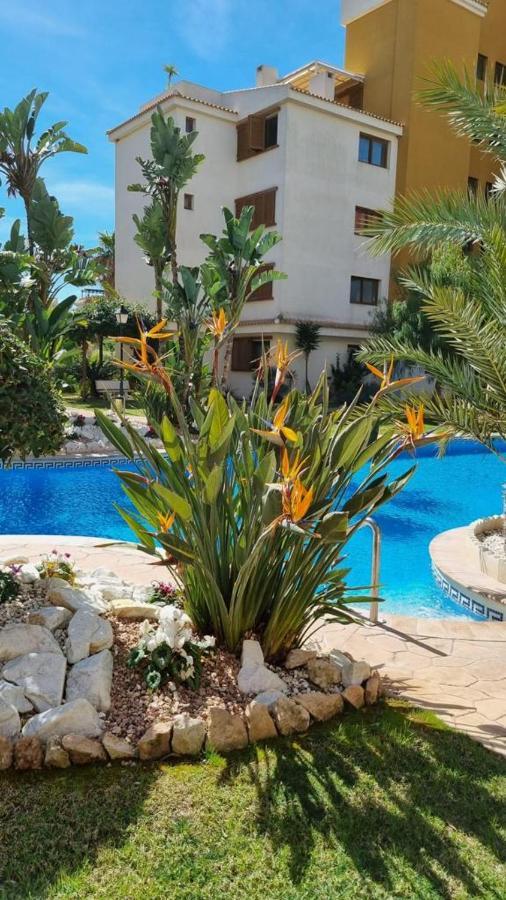 Punta Prima Nice Apartment With Sea Views Torrevieja Eksteriør billede